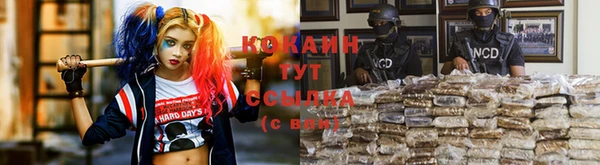 молекула духа Лиски