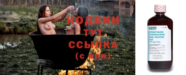 молекула духа Лиски